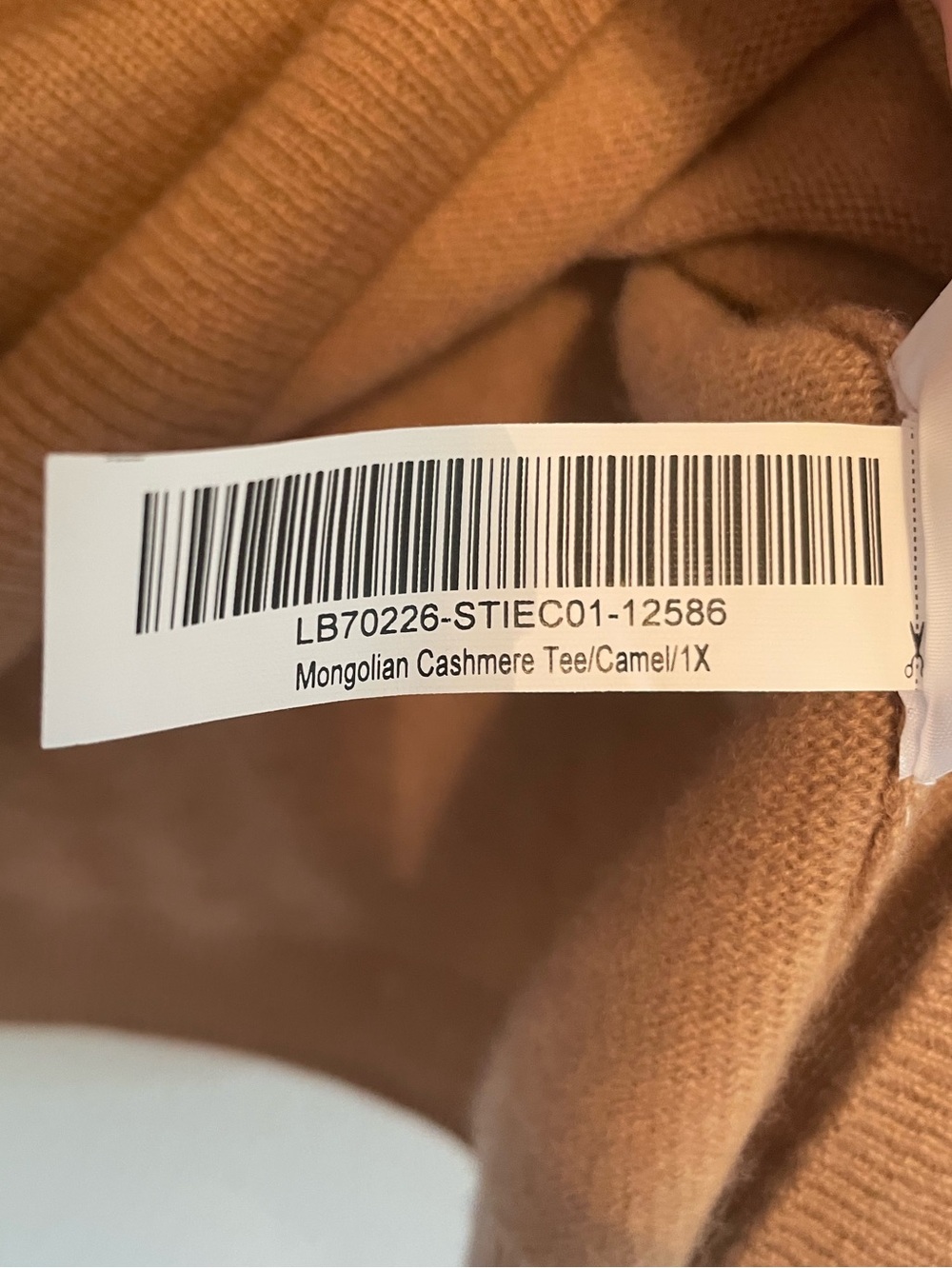 Quince Short Sleeve Cashmere Sweater in Camel size 1X - Picture 5 of 8
